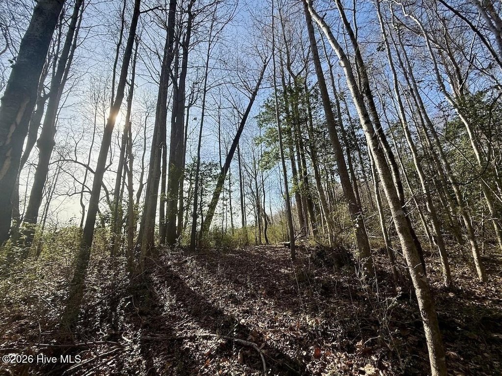 Picture 41