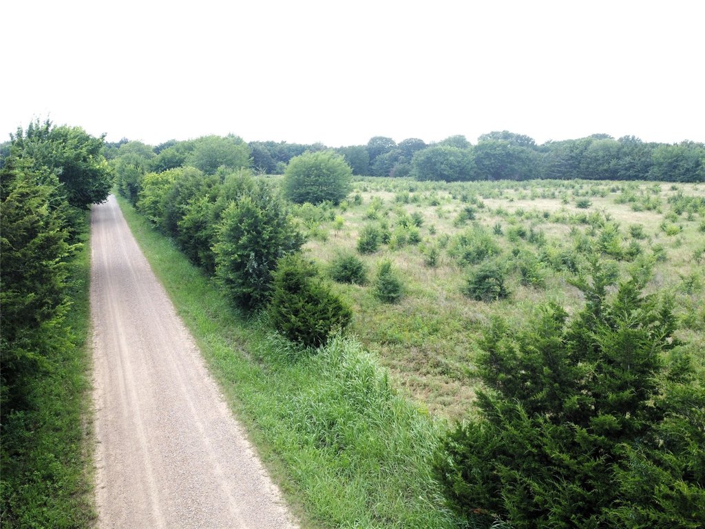 Picture 10