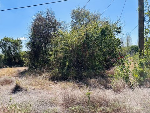 Land, Granbury, TX