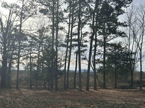 Cove, AR Acreage Tract