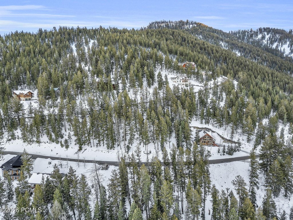 Picture 16
