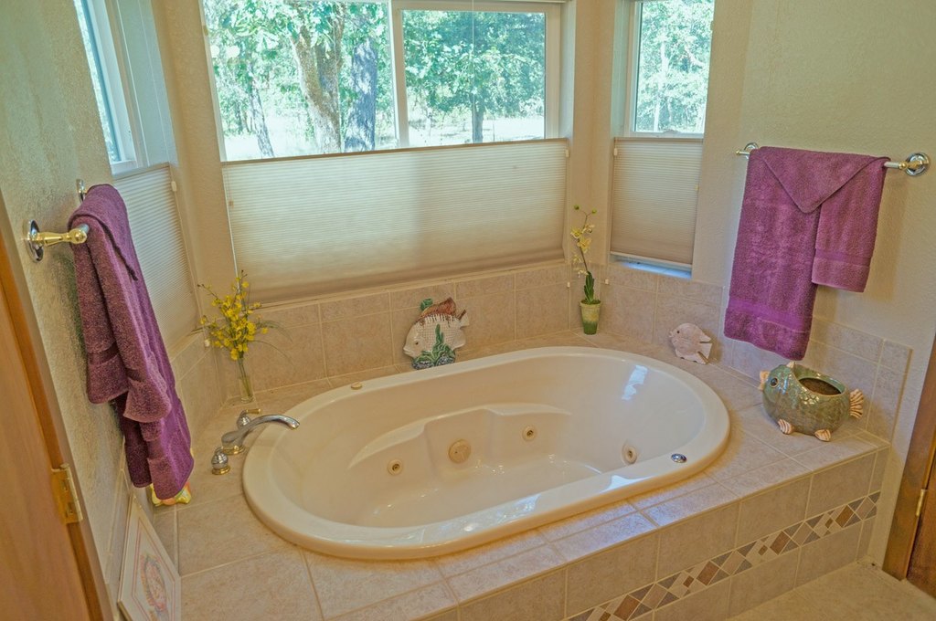 Picture 19