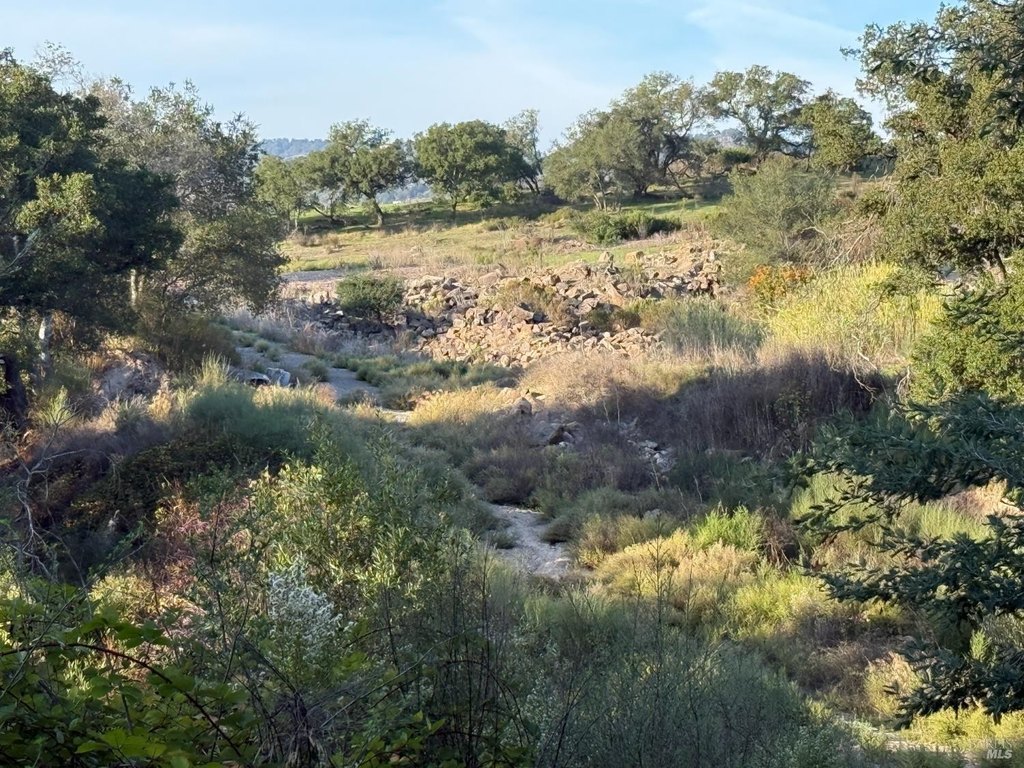 Picture 28