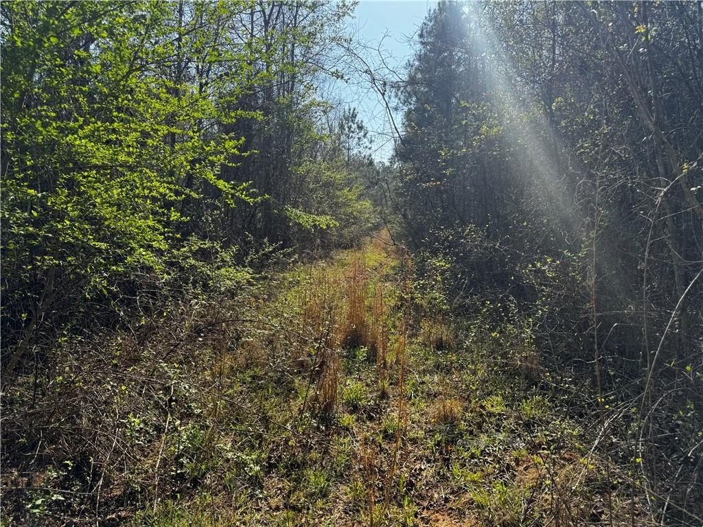 Picture 19