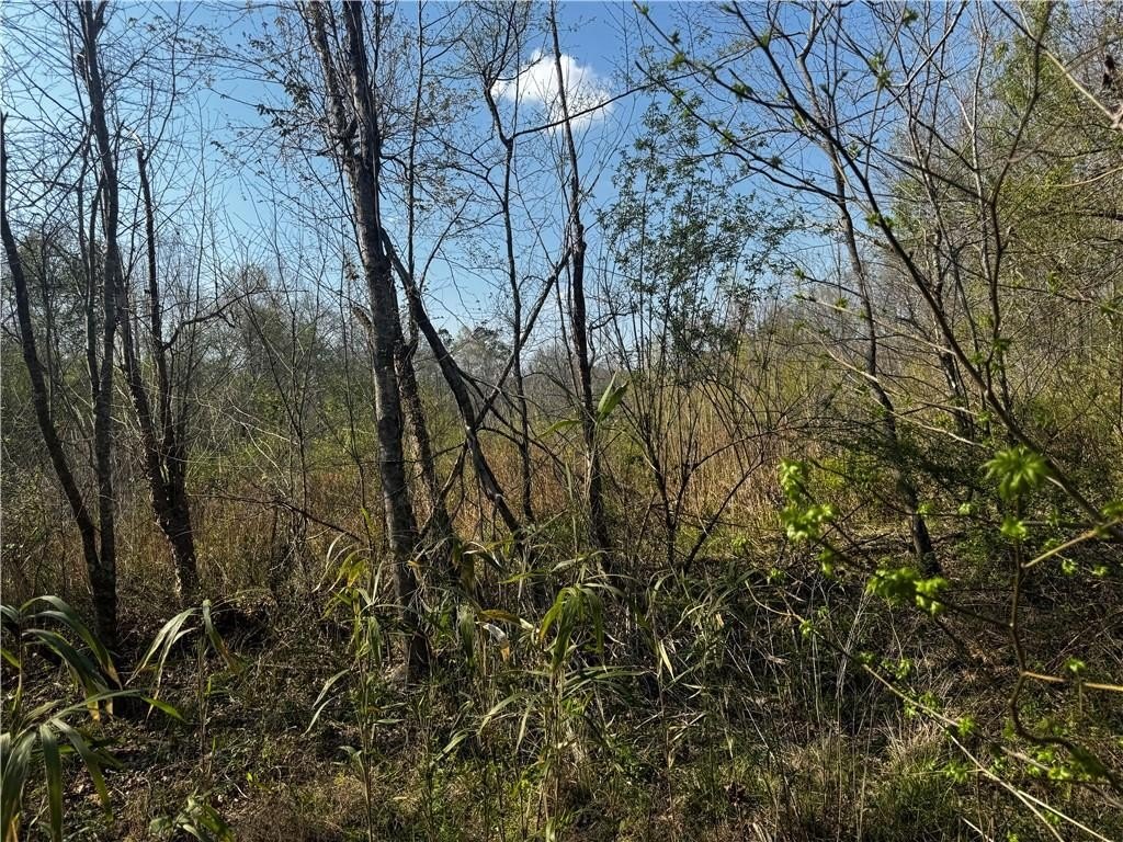 Picture 15
