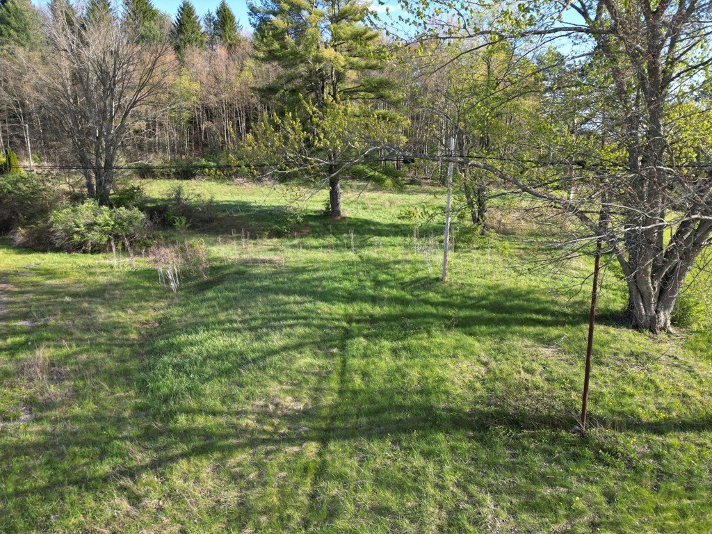 Picture 7