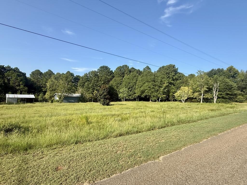 Picture 13