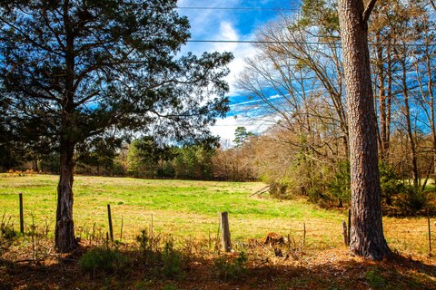 Appling, GA Land For Sale