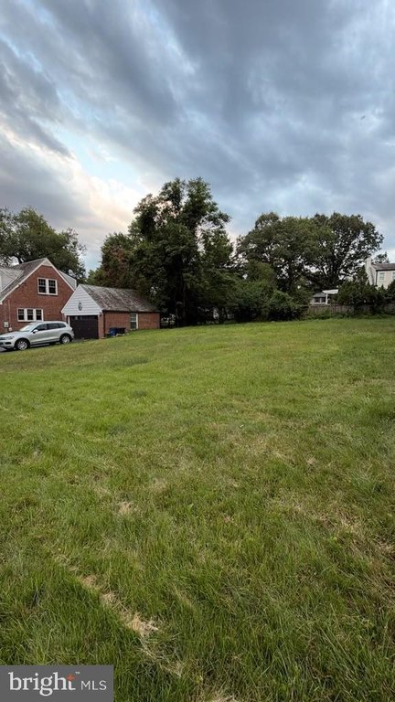 Picture 3
