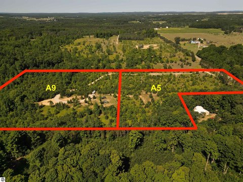 Vacant Lot/Land, Maple City, MI