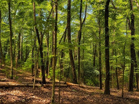 Land, Ellijay, GA