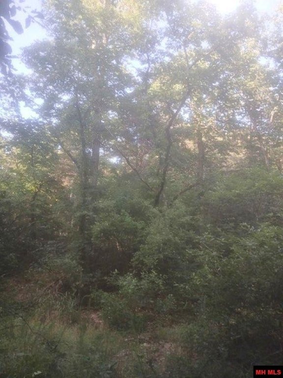 Picture 14