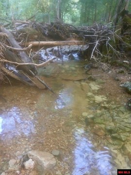 LAND - Peel, AR