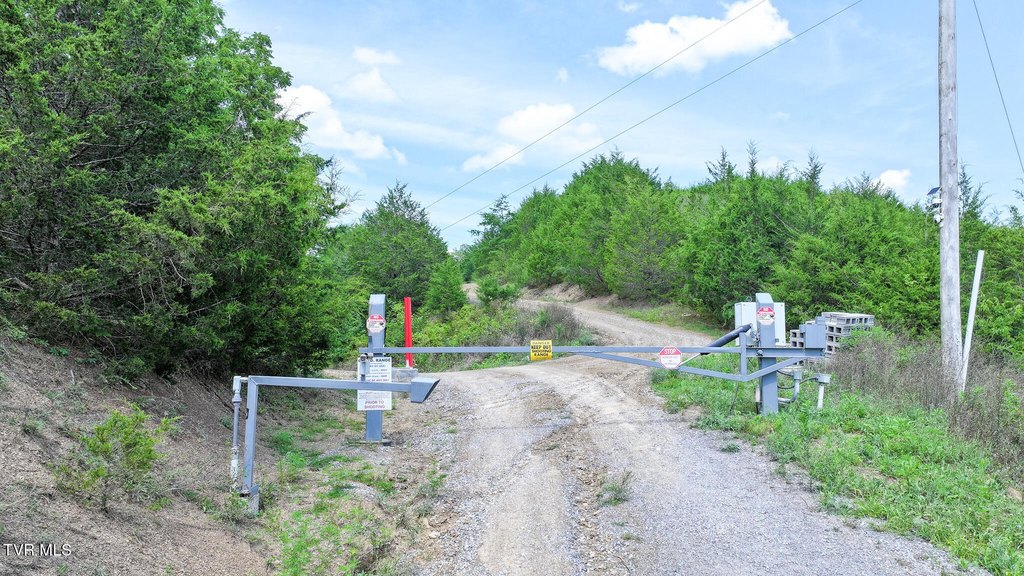 Picture 17
