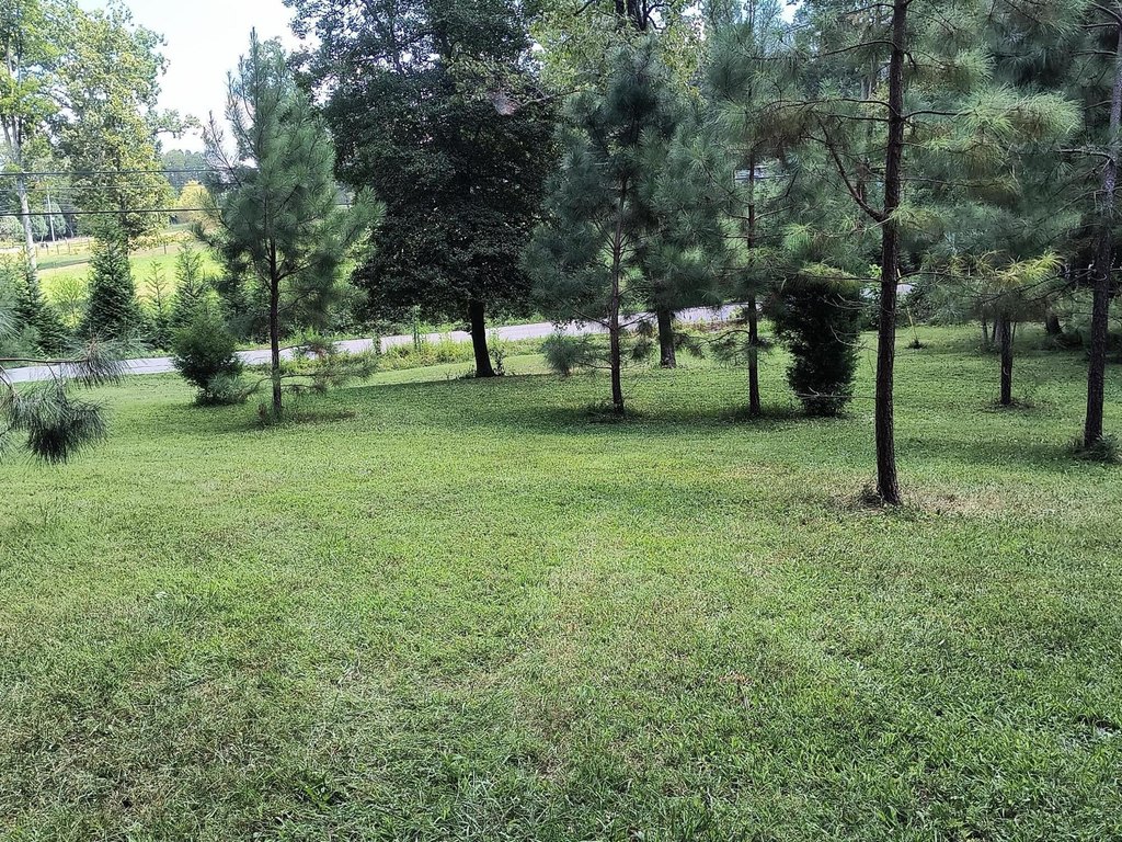 Picture 13