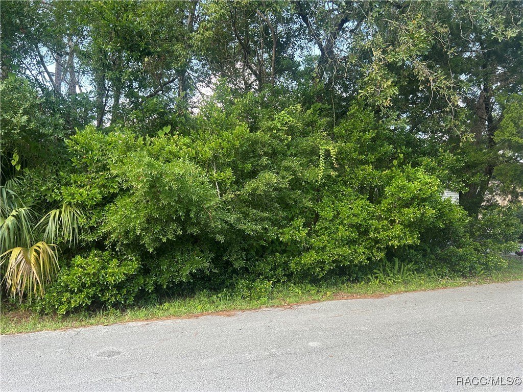 Land in Sugarmill Woods