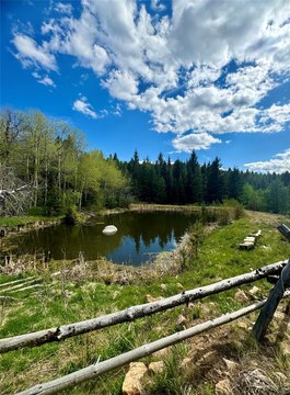 Mountain Solitude Near Anaconda, MT