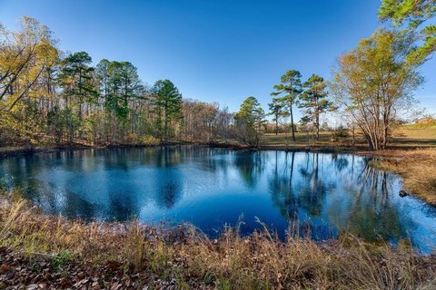15 Acre Hot Springs Land