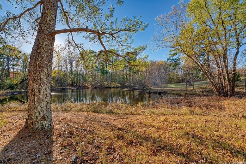 Picture 26