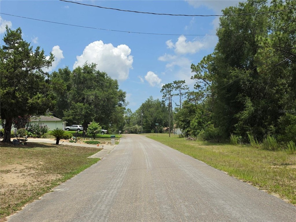 Picture 4