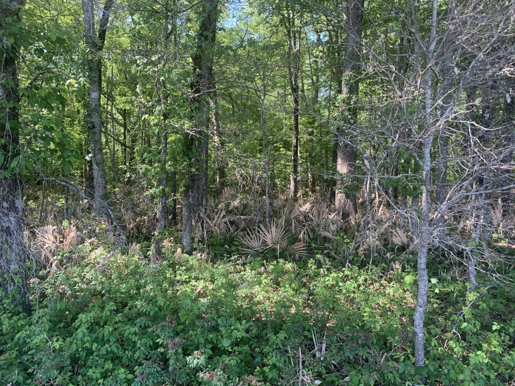 Picture 21