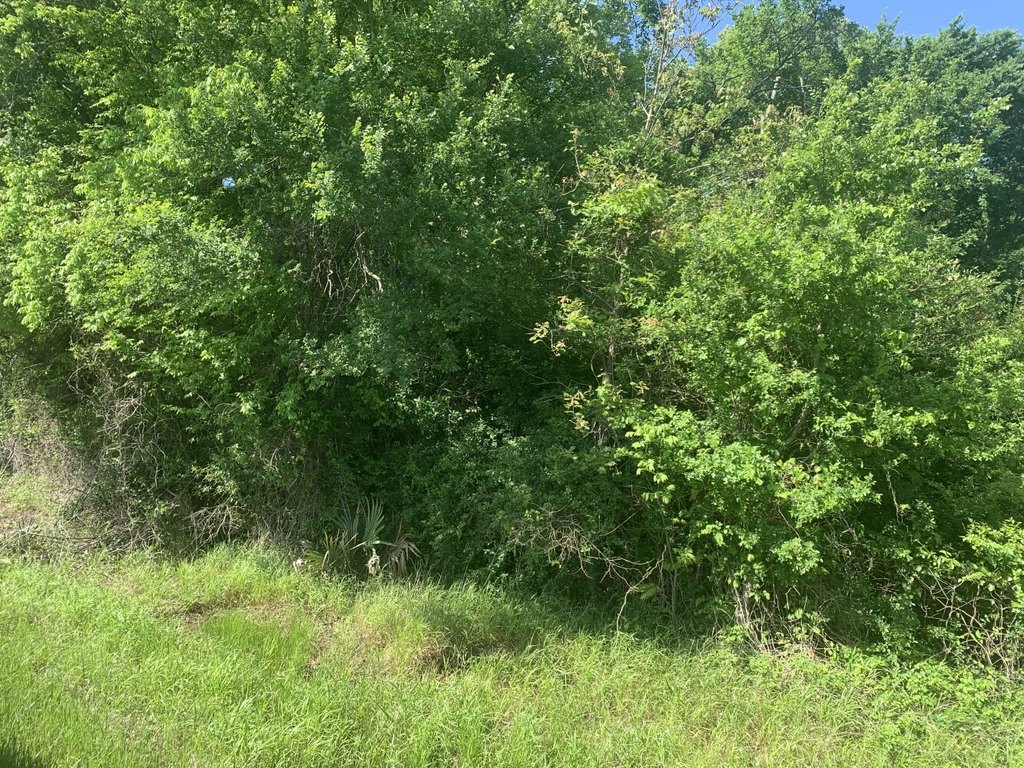 Picture 18