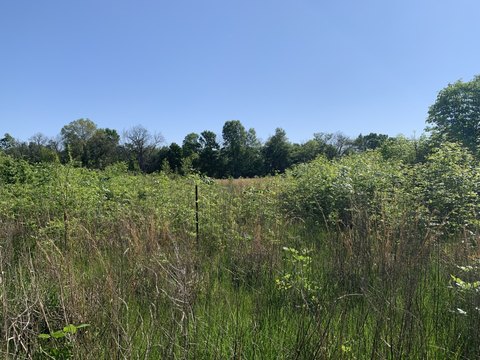 Development Tract with Road Frontage