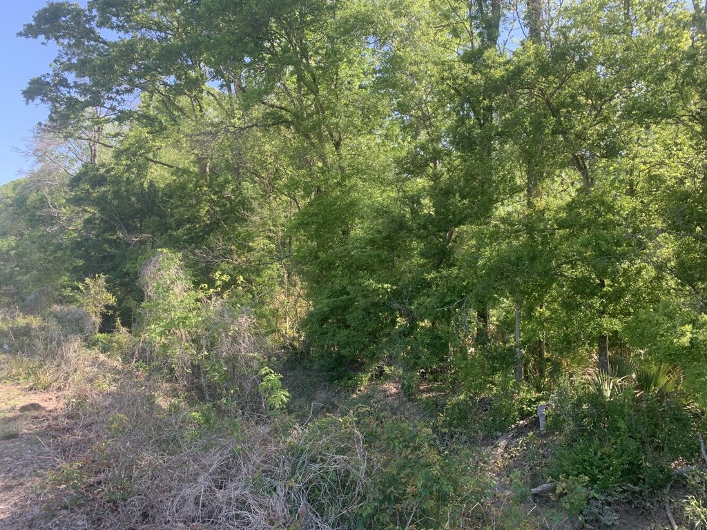Picture 10