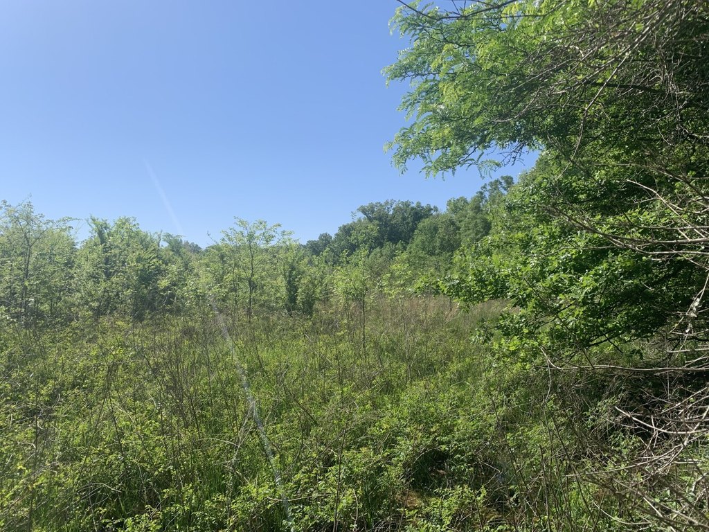 Picture 8