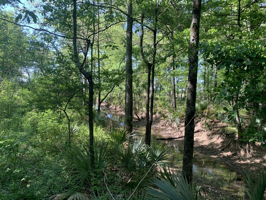Picture 14