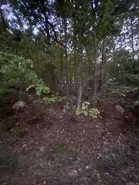 Vacant Land, Hot Springs Village, AR