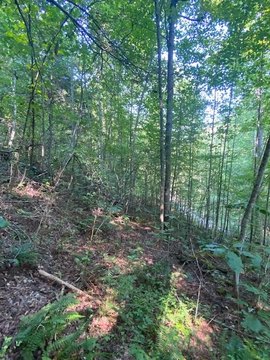 LAND - Wilder, TN