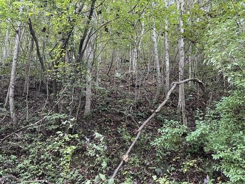 Land, Wilder, TN