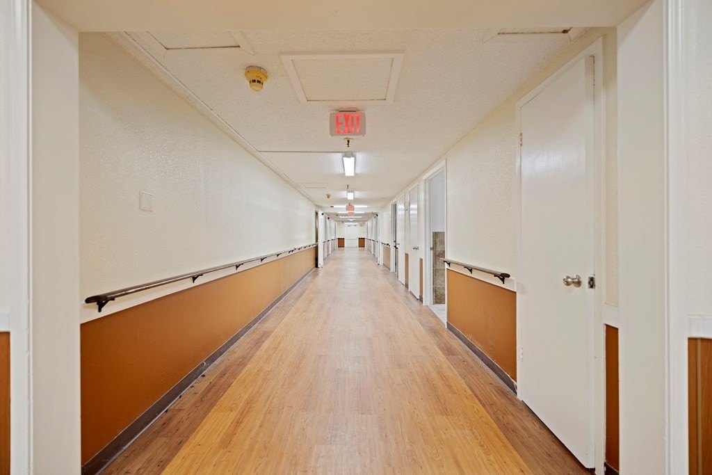 Picture 5