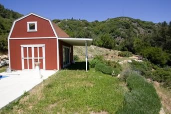 Picture 7