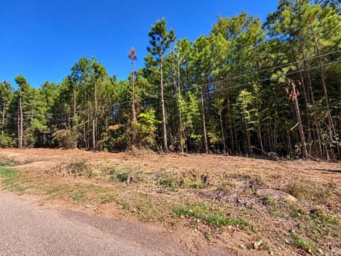 Vacant Land, Fordyce, AR