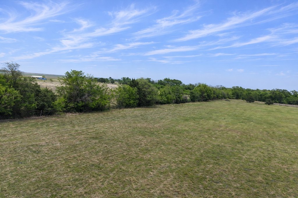 Picture 8