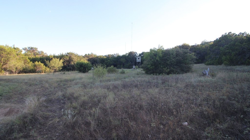 Picture 16