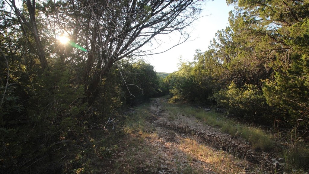 Picture 35