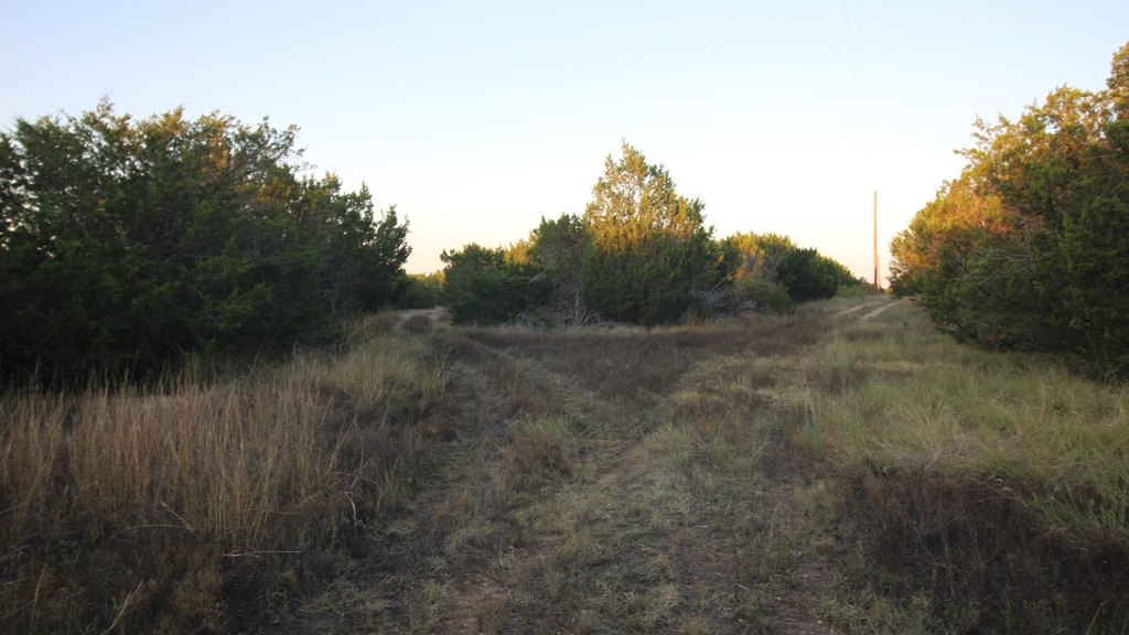 Picture 14