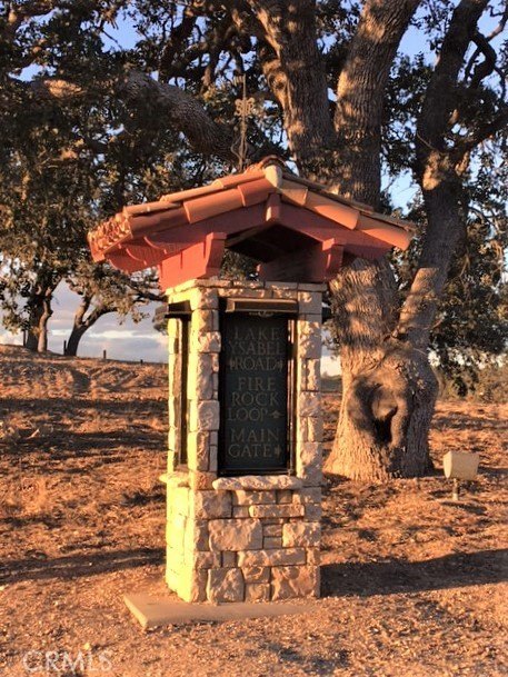 Picture 13
