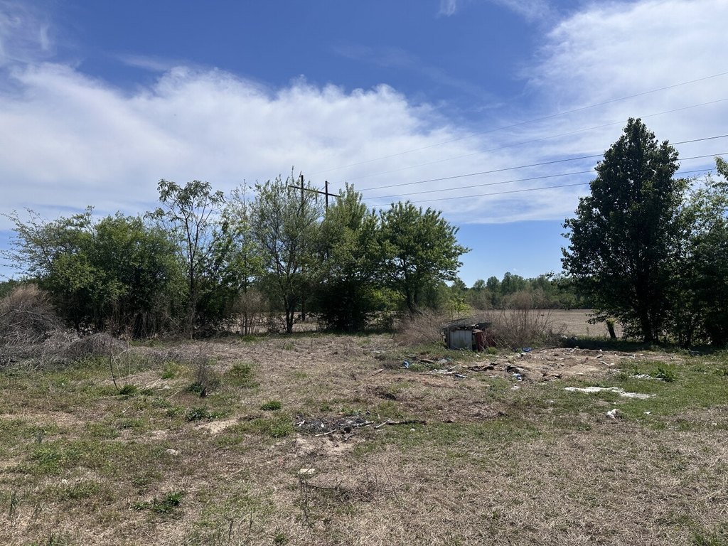 Picture 23