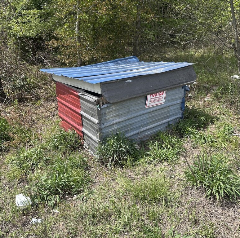 Picture 36