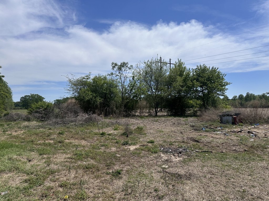 Picture 24
