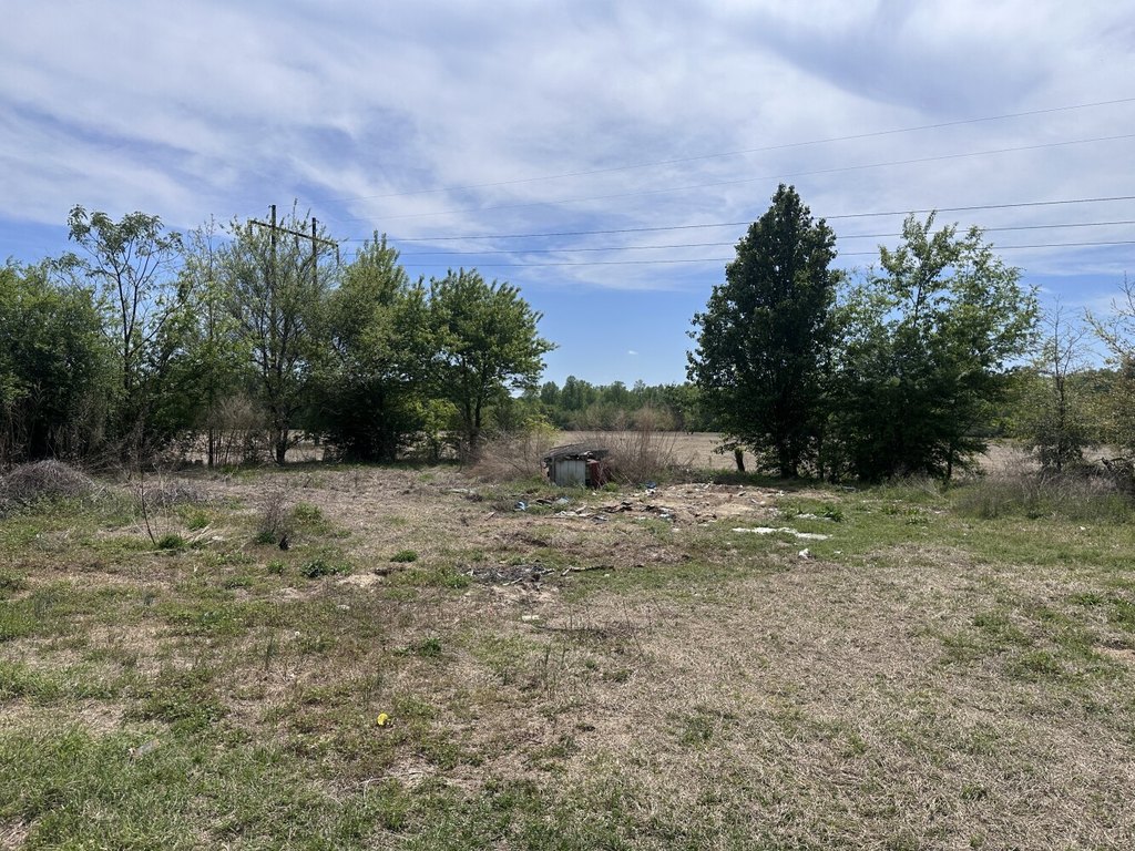 Picture 20