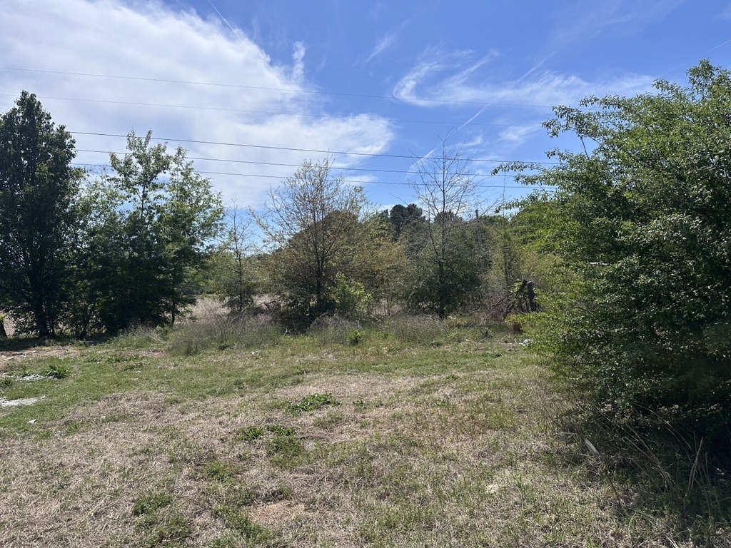 Picture 25