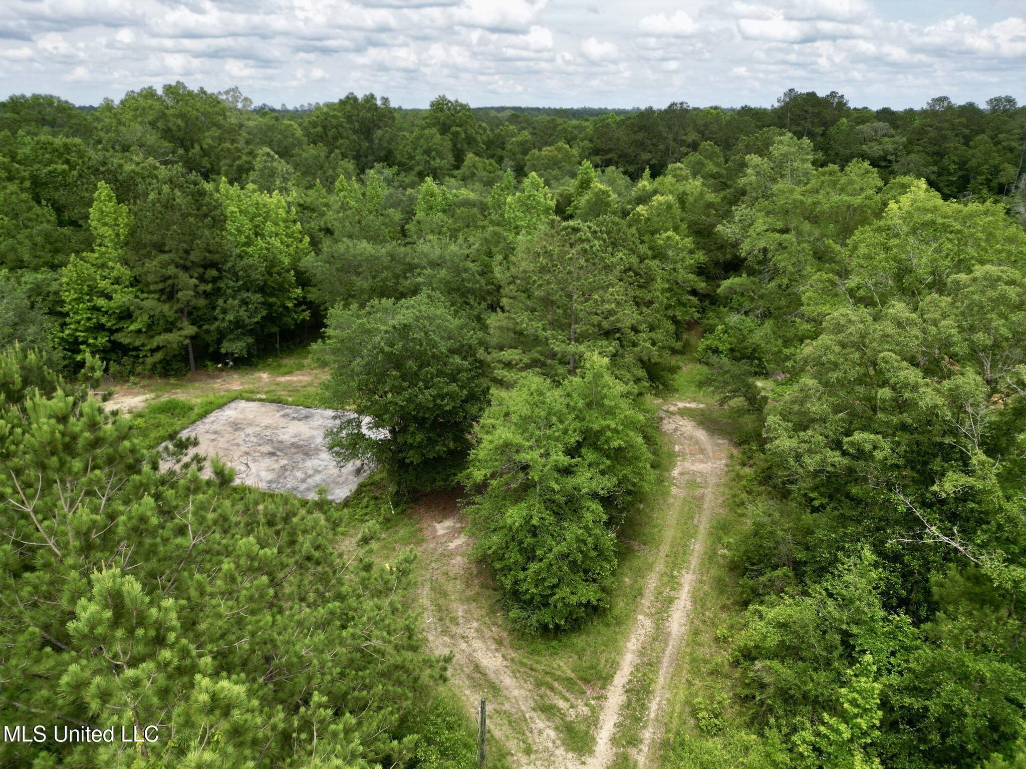 Unrestricted Wooded Acreage in Poplarville