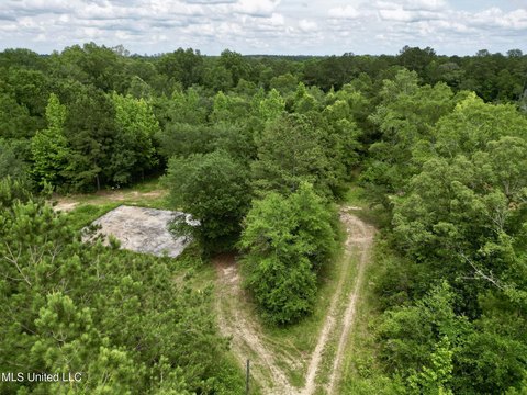 Unrestricted Wooded Acreage in Poplarville