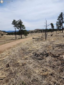 6.7 Acres in Cotopaxi, CO