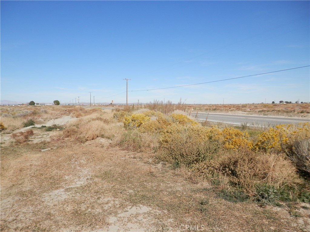 Picture 11